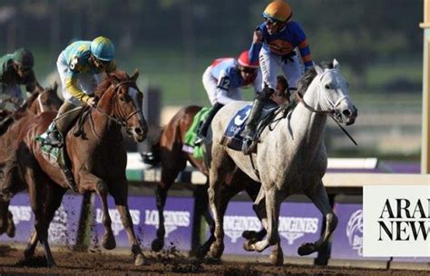 white abbario|White Abarrio wins $6M Breeders' Cup Classic, trainer Rick .